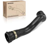 Frankberg radiator hose above 23891