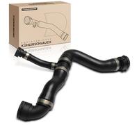 Frankberg Radiator Hose Coolant above petrol 17127566031