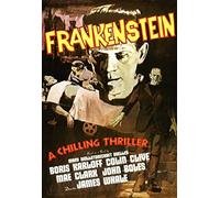 Frankenstein 1931 Movie Poster A0-A1-A2-A3-A4-MAXI sizes