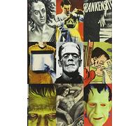 Frankenstein - A Cultural History