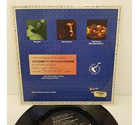 FRANKIE GOES TO HOLLYWOOD - FRANKIE GOES TO HOLLYWOOD, welcome to the pleasure dome (altered real), B side get it on + happy hi!, ZTAS 7, 7" single