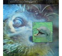 Frankie Goes To Hollywood - Watching the wildlife [7" VINYL]