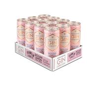 Franklin & Sons | Premium Ready To Drink Cans | 12 Pack | Spirit & Mixer | 5.5% ABV (12 x 250ml, Raspberry Gin & Lemon Tonic)