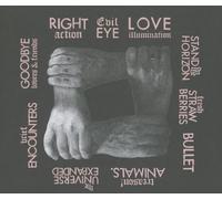 Franz Ferdinand - Right Thoughts Right Words Right Action [CD]