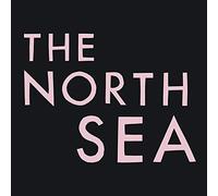 FRANZ FERDINAND - The North Sea [VINYL]