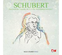 Franz Schubert - Fantasie in C Major, Op. 15, D.760 "Wanderer Fantasy" (Remastered)