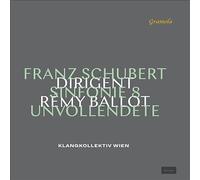 Klangkollektiv Wien/Ballot - Franz Schubert: Symphony No. 8 - Die Unvollendete [VINYL]