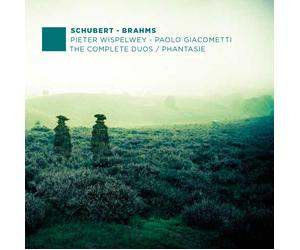Franz Schubert Schubert/Brahms: The Complete Duos/Phantasie (CD) (US IMPORT)