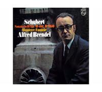 Franz Schubert - Sonata In B Flat, D.960 / "Wanderer" Fantasia [Vinyl LP record] [Schallplatte]