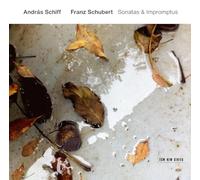 Franz Schubert: Sonatas & Impromptus
