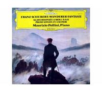 Franz Schubert - Wanderer-Fantasie / Klaviersonate A-Moll D. 845 - Piano Sonata In A Minor [Vinyl LP record] [Schallplatte]