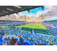 Fratton Park Stadium Art Print, Portsmouth FC, A4 Size, UV-Protected Giclee Print, Black Frame with Mount