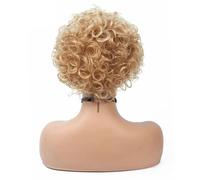 Frauen Haare Short Curly Synthetic Wigs Golden Party Hair for White Women Blonde Mixed Colors High Temperature Fiber Hairs Extensions