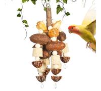 Fravsiu Conure Games | Exercise Games for Cocorite, Wooden Accessories with Nuts and Rope for Aviary, Interactive Games for Parrots, Cockatiels, Inseparables, Macaw and Cockatoo
