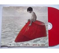 Fray - How To Save A Life [2 Track CD]
