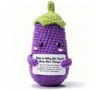 FRBFRB Funny Bachelorette Party Gag Gift for Bride - 'Nice Things' Meme Crochet Toy, Humorous Bridal Shower Present, Gen Z & Internet Culture Novelty Doll for Her