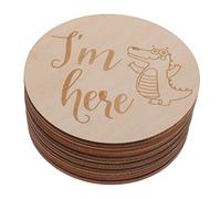 FRCOLOR 1 Set Monthly Milestone Wooden Cards Newborn Growth Signs Wood Discs for Photos Announcement and