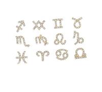 FRCOLOR 12pcs Zodiac Sign Nail Art Rhinestone Decorations Diy Nail Diy Decors for Stunning Manicure Craft for