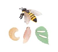 FRCOLOR 1Set Simulation Animal Evolution Model Insect Growth Cycle Display for Educational Nature Learning Props for Storytelling Role Playing Parties and