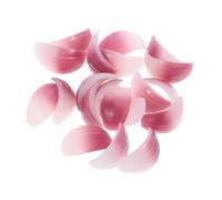 FRCOLOR 20pcs Simulated Vegetable Model Onion Fake Food Kitchen Decorations Artificial Food Model Vegetable Decor Photo Props for Kitchen Simulation Pvc Violet