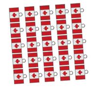 FRCOLOR 25pcs Canadian Maple Leaf Alloy Pendant Charms for DIY Necklace Bracelet Keychain Resilient with Shiny Finish Unique Canada Flag Design for Crafting and Travel Souvenirs