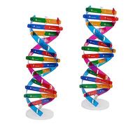 FRCOLOR 2pcs Dna Double Helix Model Science Educational Kit Gene Assembly for Classroom Teaching Aids Biology Learning Instrument with Realistic Structure and Wear Resistance