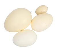 FRCOLOR 4Pcs Lifelike Bird Egg Models for - Simulation Speckled Quail, Pheasant, Chicken, and Goose Eggs Set for Educational Play and Nature Learning