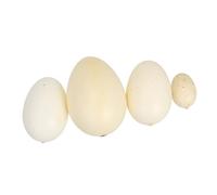 FRCOLOR 4pcs Simulation Bird Eggs Assorted Speckled Colors Lightweight Educational Painting Practice and Easter Basket Decorations