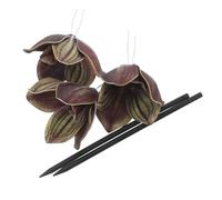 FRCOLOR 5pcs Flower Hairpins Wood Sticks Bohemian Elegant Flower Motifs Comfortable Versatile Styling Brides Bridesmaids Outdoor Ceremonies Hair Decoration Accessories