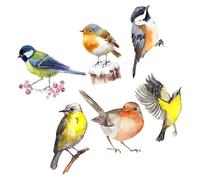 FRCOLOR 6pcs Hummingbird Wall Decals Anti-Collision Window Stickers PVC Material Assorted Colors Fashion Pattern Realistic Design for Shopping Mall and Office Window Decoration