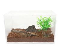 FRCOLOR Acrylic Reptile Terrarium Box Not Easily Broken Easy to Wash Small Habitat for Turtles Lizards