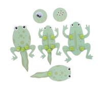 FRCOLOR DIY Frog Growth Cycle Biology Learning Kit for Tadpole to Frog Life Stage Model Educational Science Experiment Material for Hands School Project and Interactive Science Activity
