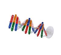 FRCOLOR Dna Model Double Helix Educational for Stem Assembly Kit Human Genes Science Learning Aid for Boys School Biology Teaching Random Color