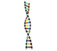 FRCOLOR Dna Model Kit Double Helix Molecular Model for Science Teaching and Biology Education Structure Component for Classroom Display and Student Learning Aid