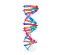 FRCOLOR Double Helix Dna Model Kit Educational Science for Interactive Biology Teaching Aid DIY Assembly for Independent Learning and Imagination