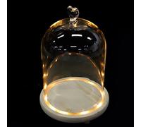 FRCOLOR Home Decor Home Decor Cheese Glass Dome with light up glass dome cloche with wood base with led light Lighted Base: Small Décor Accessories Accessories