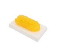 FRCOLOR Human Fat Anatomical Model Realistic Yellow Demonstration Device for Fitness Education and Weight Loss Motivation