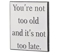 FRCOLOR Inspirational Stainless Steel Lapel Pin Brooch with Motivational Quote You'Re Not Too Old It'S Not Too Late Party Badge Accessory for Backpack and Clothing