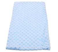 FRCOLOR Large Blue Two-tone Fleece Pet Blanket for Guinea Pigs Hamsters and Small Animals, Warm Soft Cage Mat and Bath Towel for Small Pet Bedding and Sleep