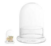 FRCOLOR Micro Landscape Glass Bottle with Hole on Top for Handmade or Office Use, Glass Terrarium Bottle Featuring and Chic Beautiful Look for Miniature Ornament Decoration