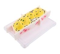 FRCOLOR Plant Cell Model Onion Epidermal Cell Structure Educational Biology Kit Teaching Model for School Classroom Microscopy Study