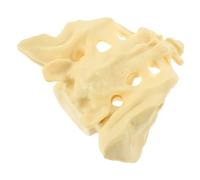 FRCOLOR PVC Sacrum Bone Model Medical Anatomy Teaching Tool for Doctors Nurses Students with Smooth Washable Surface for Display and Practice