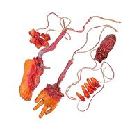 FRCOLOR Realistic Broken Body Parts Halloween Hanging Props Scary Severed Hand Heart Fingers Decorations for Haunted House Spooky and Party Decor Halloween Skeleton Accessories
