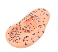 FRCOLOR Realistic Ear Acupuncture Model with Detailed PVC Auricle, Reference Table of Chinese Acupoints and Reflexology Points, for Training and Teaching Acupuncture and Massage Schools