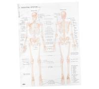 FRCOLOR Skeletal System Anatomy Poster Premium Hanging Wall Poster Human Body Skeleton Chart Font Educational Physiology Art Decoration for Home Office Classroom