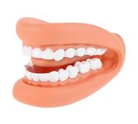 FRCOLOR Standard Teeth Model Educational Tooth Brushing Teaching Model for Kindergarten Dentist Patient Communication Lifelike Human Mouth Demonstration Tool