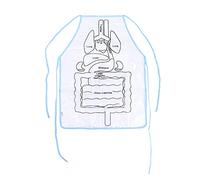 FRCOLOR Stereoscopic Human Organs Apron for Transparent Teaching Aid for Early Education Engaging Anatomy Learning Tool for Fun Role Play Teaching Resource