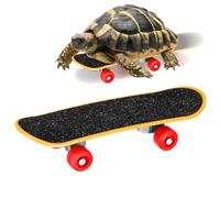 FRCOLOR Tortoise Skateboard Training for Small Pets Reptiles Bird Parrot Intelligence Play Educational Mini Skateboard Matte Surface for Budgie and Tortoise