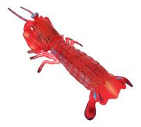 FRCOLOR Wear-Resistant Pipi Shrimp Animal Model for, Portable Small Sensory Learning, Educational Supply for Early Biology Exploration