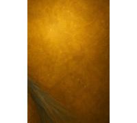 Frecuencia de Realeza Femenina: Cuaderno de amor propio, poder interior y conexión con tu energía femenina